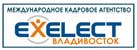 Логотип компании Экселект, Международное Кадровое Агентство 