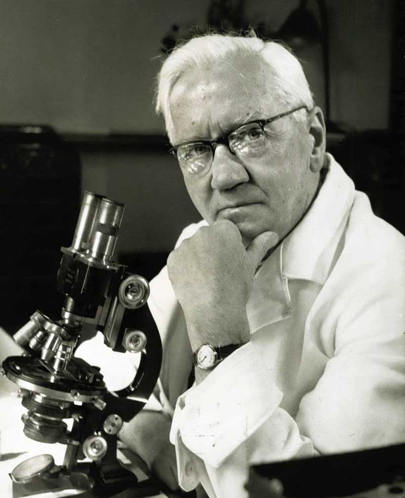 13 сентября 1929 г. Александр Флеминг впервые явил публике свое открытие - пенициллин.